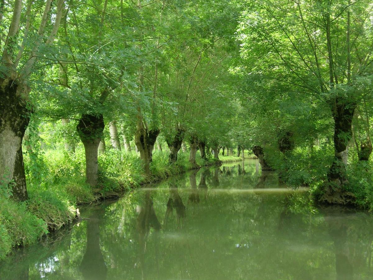 La Gauviniere Bed & Breakfast Liez Dış mekan fotoğraf